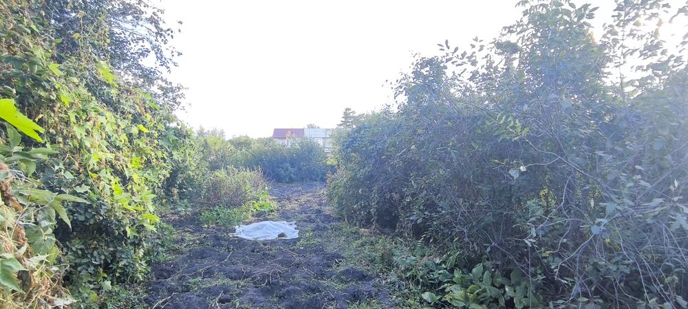 Продам дом с. Бесколь