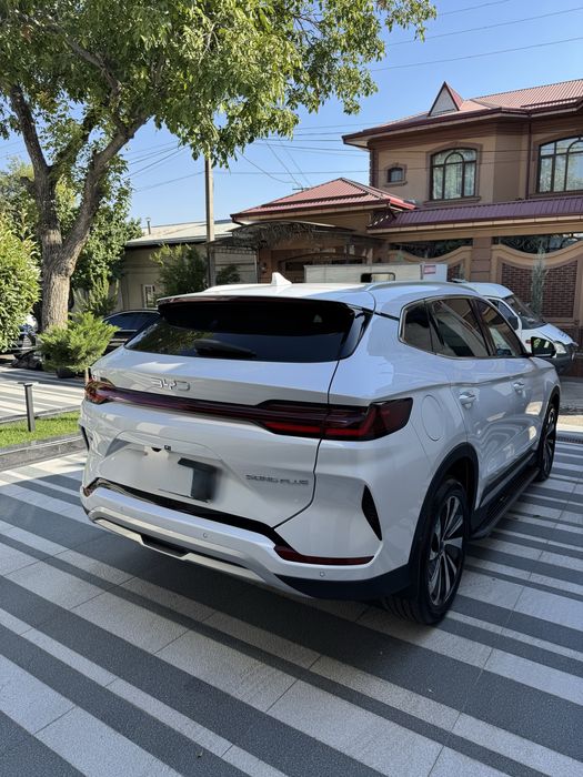Byd champion hybrid 2026