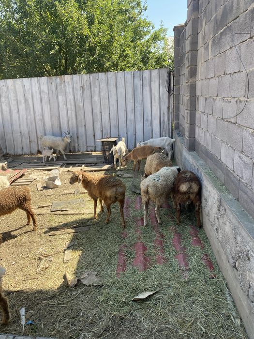 Срочно нужны деньги