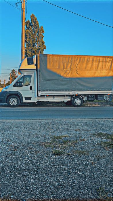 Transport mobilă , mutări , debarasari