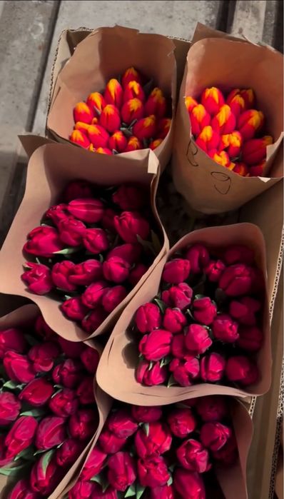 Тюльпаны премиум класса