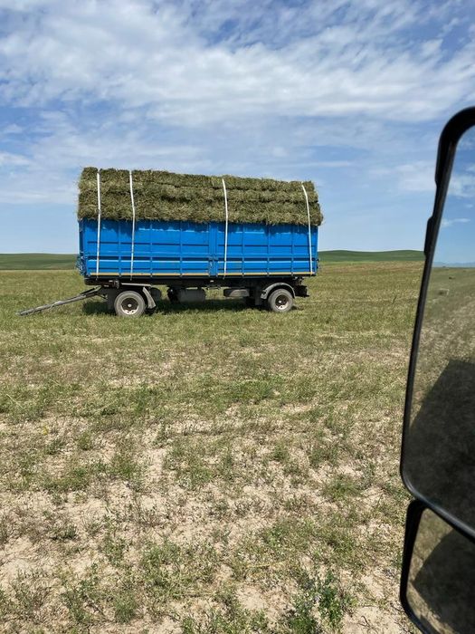 Услуги камаза самосвал