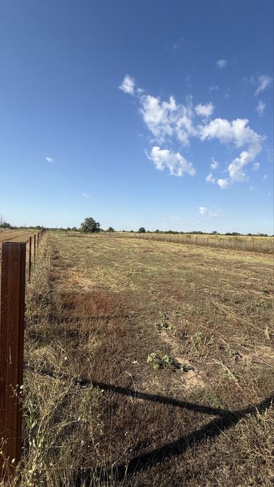 Adunatii Copaceni teren intravilan 1000 mp