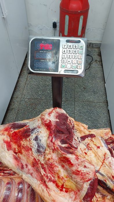 Мясо говядина тушами