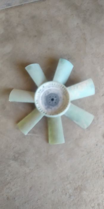 Lopos Lopos parrakLopos parrak