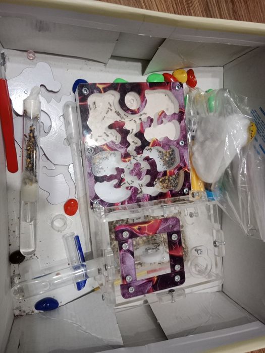 Муравейный ферма для детей