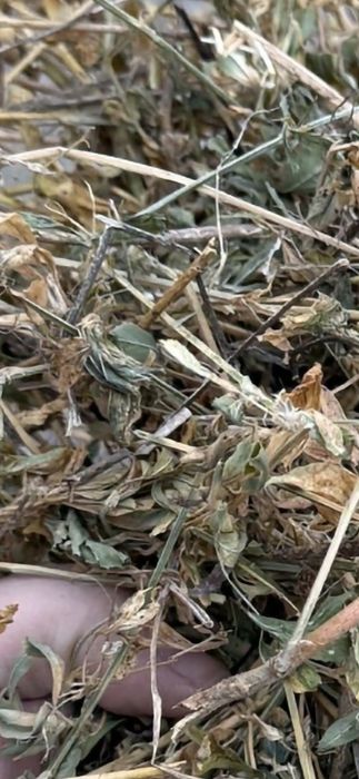 Baloti lucerna or fan.Rotunzi min.40.Dreptunghiulari.500.Transp.inclus