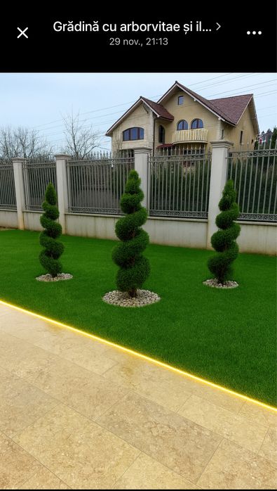 Gazon rulou  20 lei mp