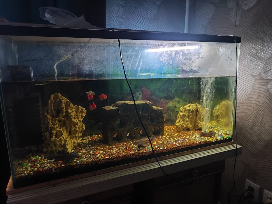 Продам аквариум р