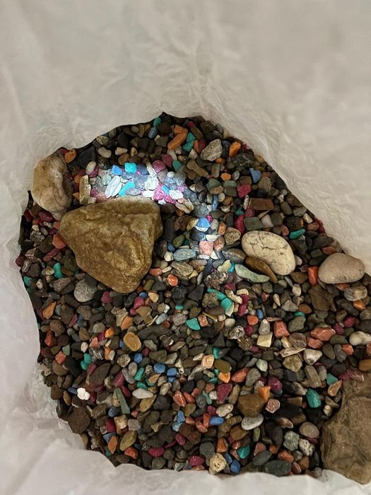 Аквариум для дома