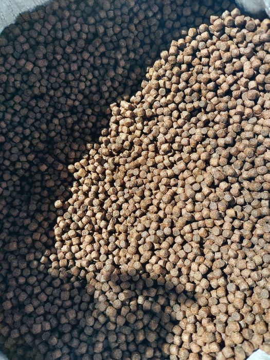 Плаваща храна за езерни риби