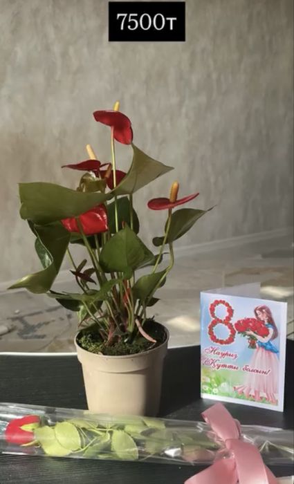 Гүлдер сатылады свежие