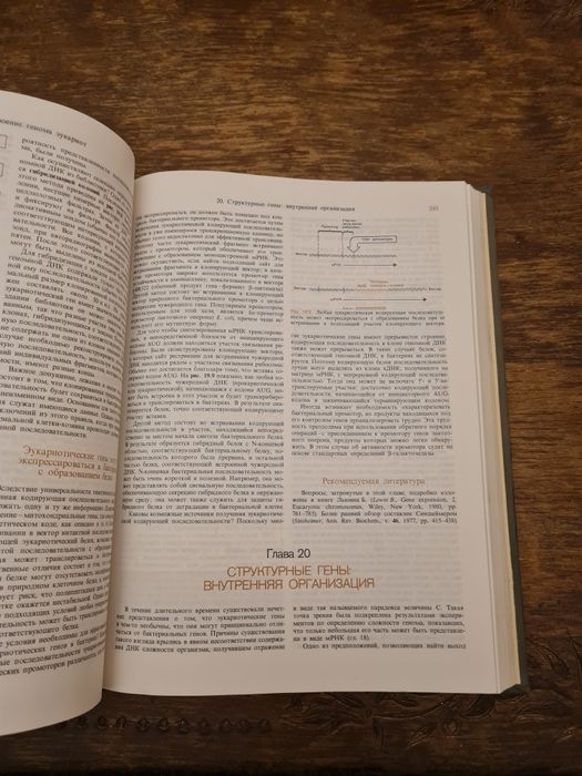 Книга Гены. Б. Льюин.
