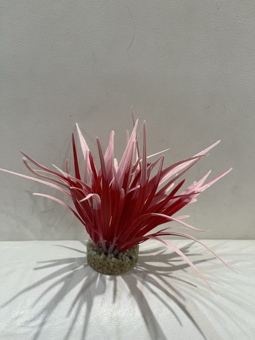 Декорация за аквариу