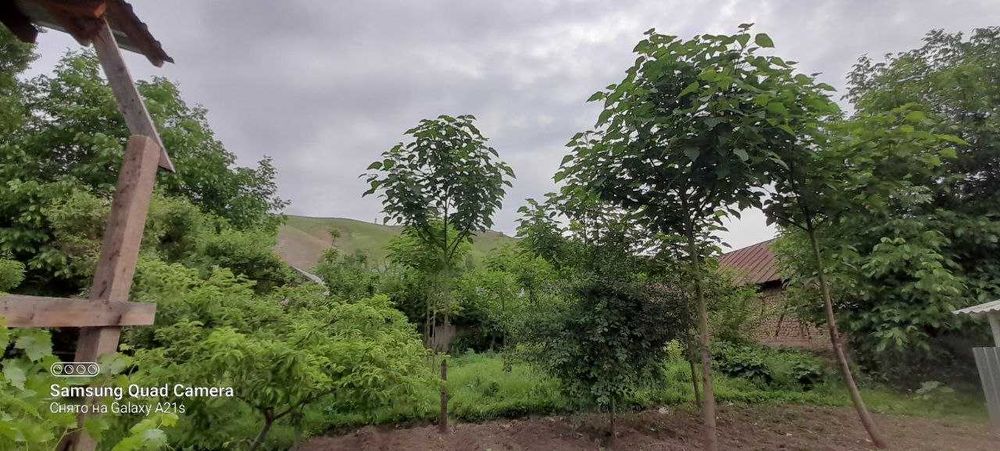 Xumsonda 13 sotix xovli sotiladi. 1 sotixi 10500$