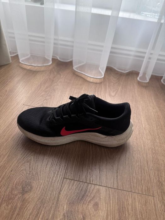 Adidasi Nike Winflo 10