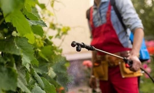 Праскачка за всичко в градината