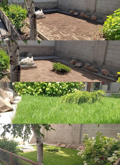 ГАЗОН Посадка Укладка