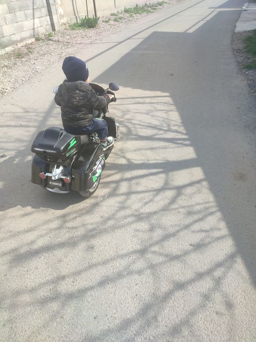 Продам Курей петухов