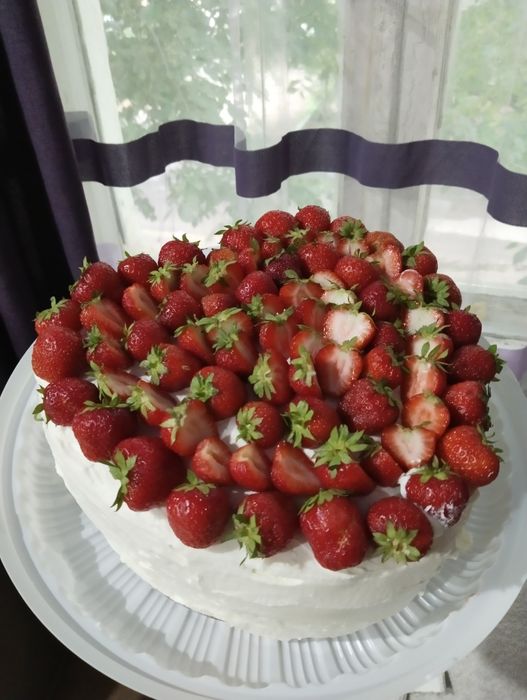 Классический медовик, бисквит, рулет