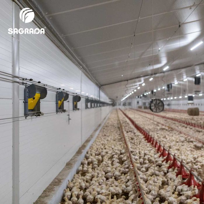 Оборудование для бройлеров SAGRADA