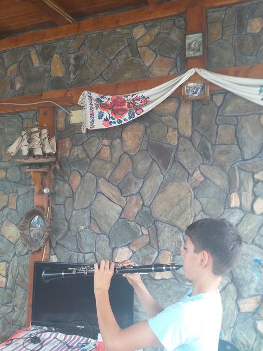Vând clarinet 200 lei