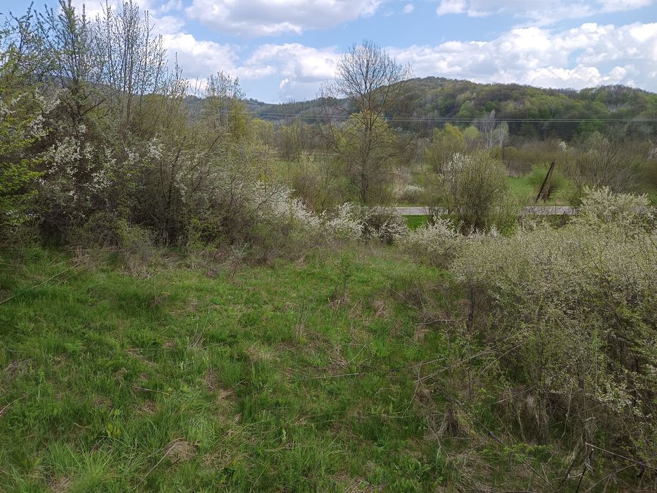 Vând teren extravilan 3700 m2