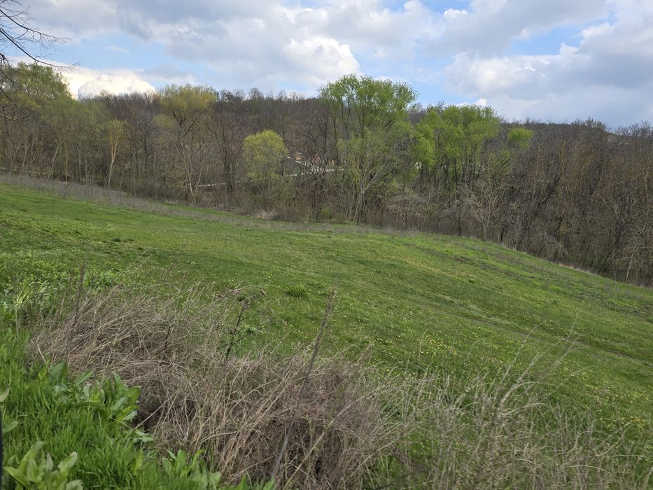 Titlu: Casă bătrânească de vânzare cu curte generoasă – Sat Șendresti, Com. Motoșeni, jud. Bacău
​Descriere:
​Vă propun spre vânzare o gospodărie situ