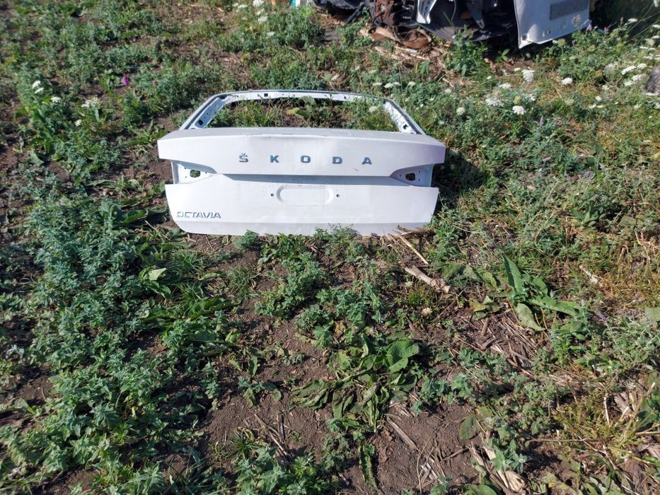 Haion skoda octavia 4 + Bara spate