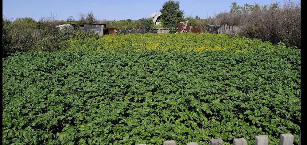 Продам дачный участок