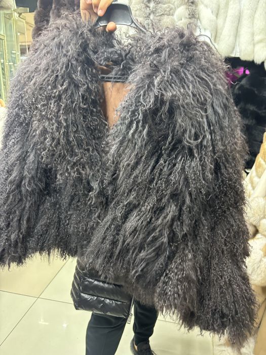 Mongolian Fur Blana