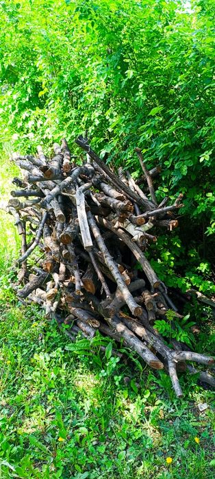 Дрова самовывоз бесплатно мкр дархан