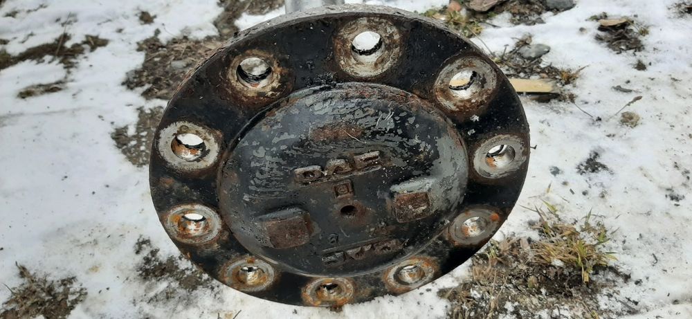 Planetara scurta Daf