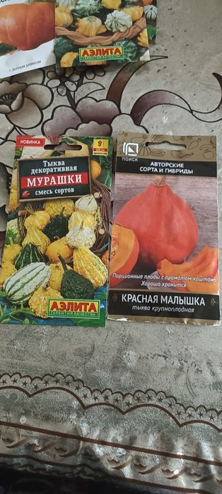 Семена тиквы. Разных сортов.