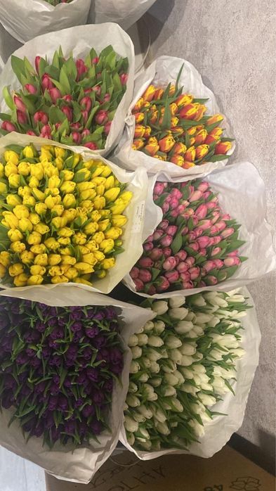 Принемаем предзаказ к 8 марта Тюльпаны