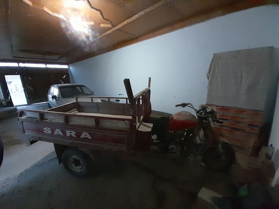 Муравей мотосикл