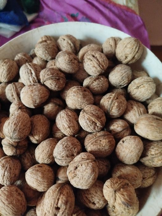 Орех грецкий экологически чистый