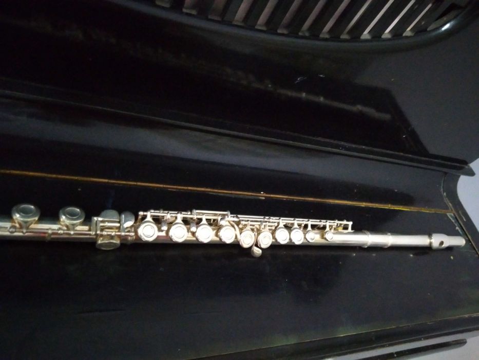 Духовой инструмент флейта