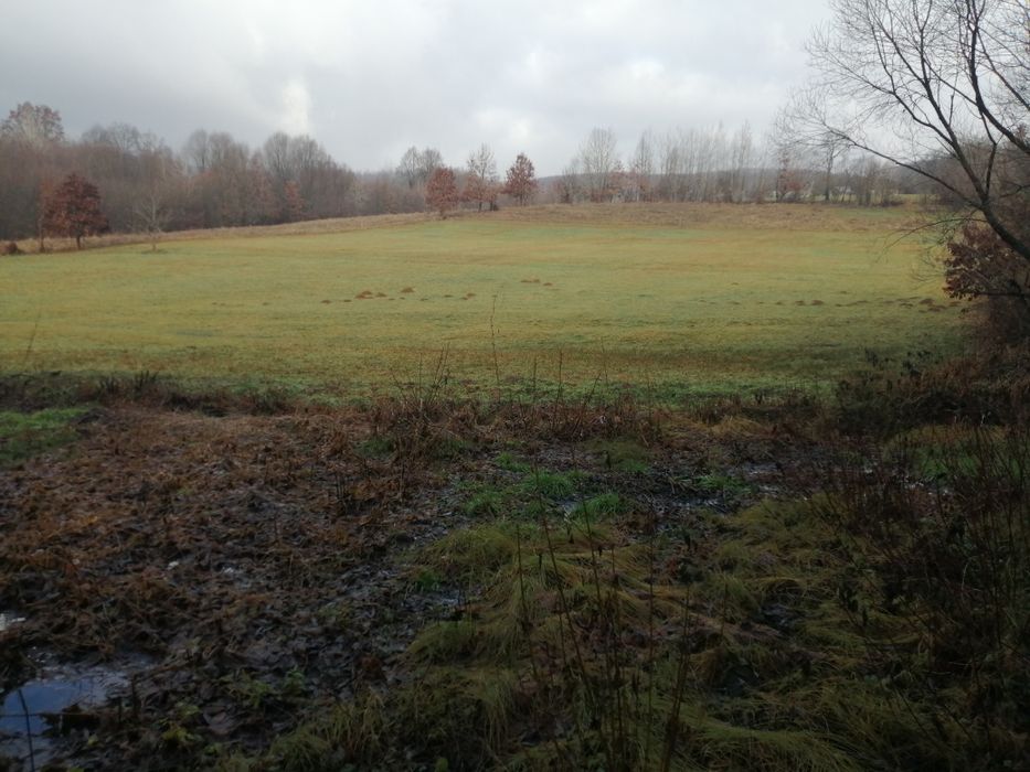 Teren de vânzare sovata