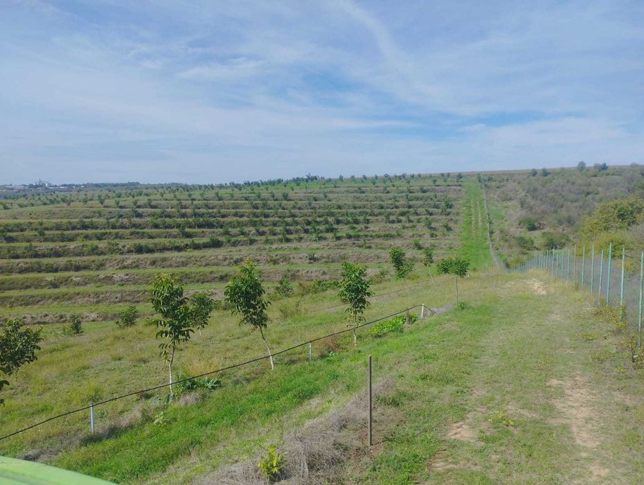 Продава се Земеделски имот в Варна, Автогара -  кв.м за 5763 €/дка - Снимка #1