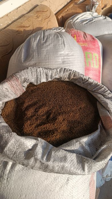 Жоңышқа ұрығы (Семена люцерны) сатылады