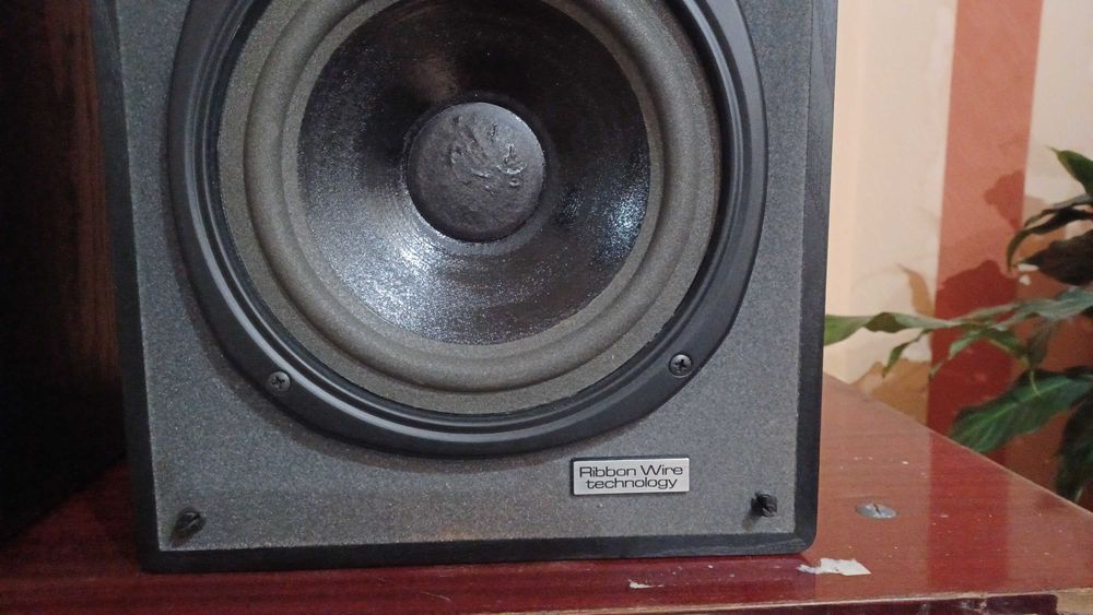 Boxe Magnat Mig-ribbon 3