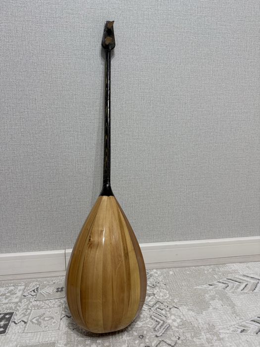 Қазақтың домбырасы