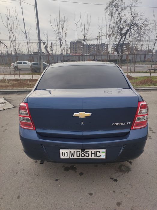 Cobolt mexanika 2023 2-pozitsiya kobolt