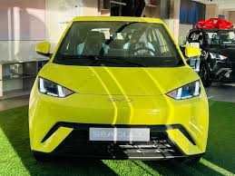 byd seagull pod zakaz