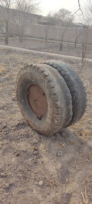 Mollar uchun novo sotiladi