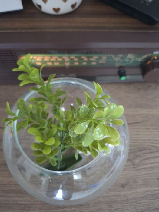 Bol de sticla pentru pești.