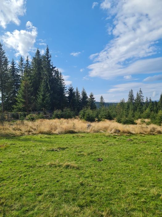 Teren de vânzare Maguri jud Cluj