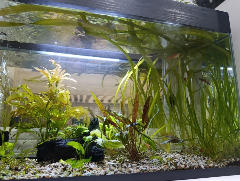 Новый аквариум 110 литров со всем