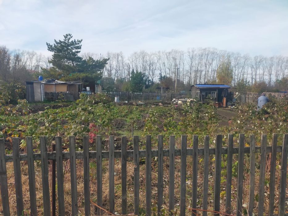 Продам дачу общество (дружба)